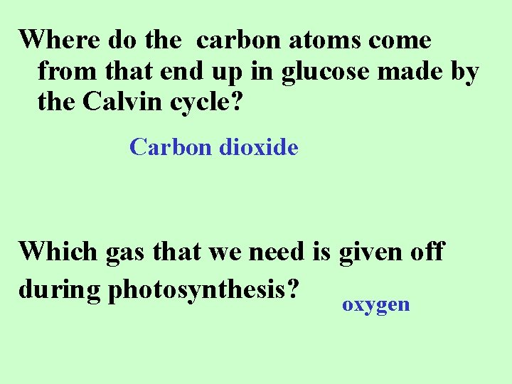 Where do the carbon atoms come from that end up in glucose made by