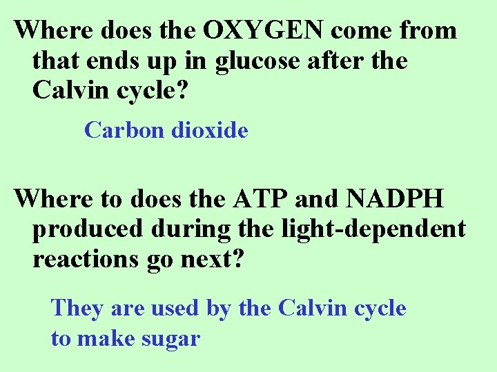 Where does the OXYGEN come from that ends up in glucose after the Calvin