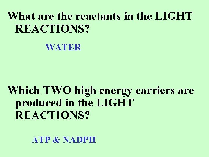 What are the reactants in the LIGHT REACTIONS? WATER Which TWO high energy carriers