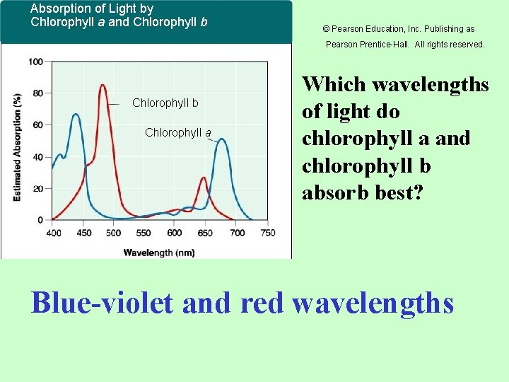 Absorption of Light by Chlorophyll a and Chlorophyll b © Pearson Education, Inc. Publishing