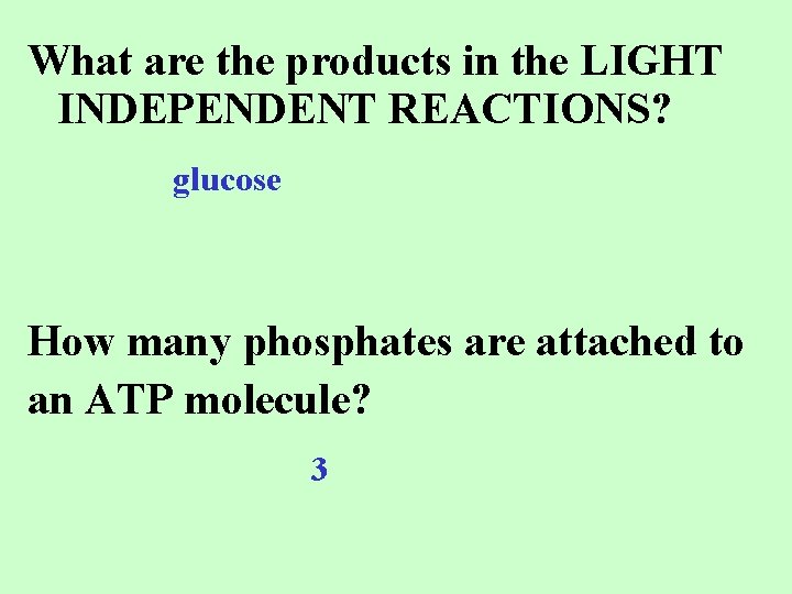 What are the products in the LIGHT INDEPENDENT REACTIONS? glucose How many phosphates are