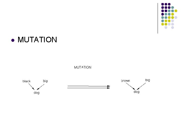 l MUTATION 