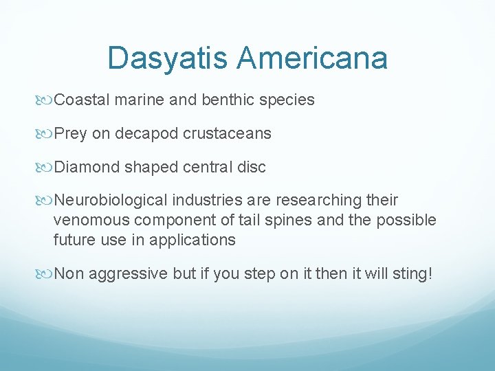 Dasyatis Americana Coastal marine and benthic species Prey on decapod crustaceans Diamond shaped central