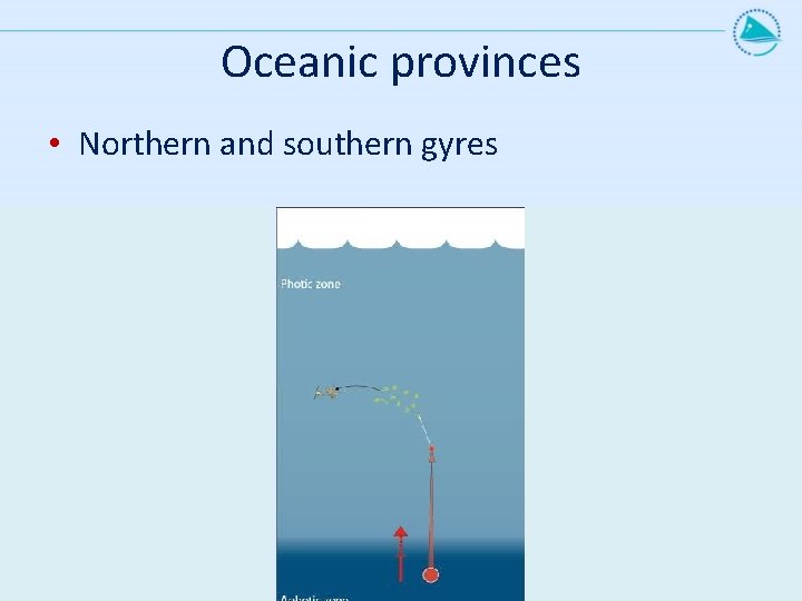 Oceanic provinces • Northern and southern gyres 