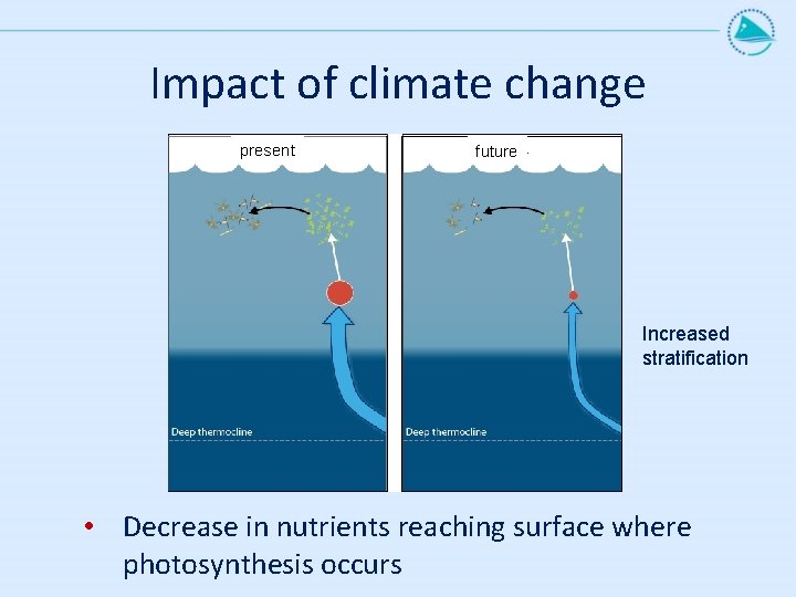 Impact of climate change present future Increased stratification • Decrease in nutrients reaching surface