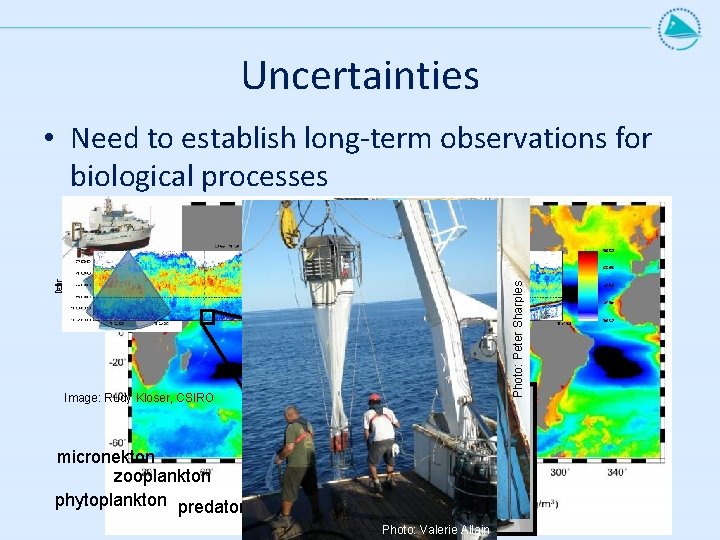 Uncertainties Photo: Peter Sharples • Need to establish long-term observations for biological processes Image:
