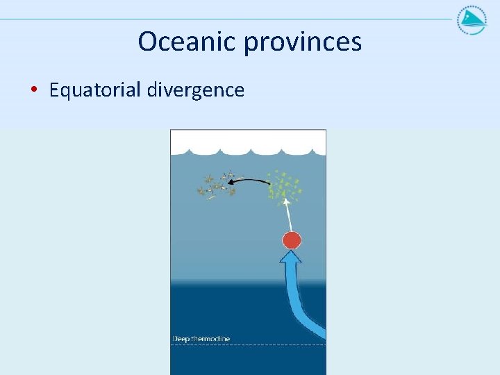 Oceanic provinces • Equatorial divergence 