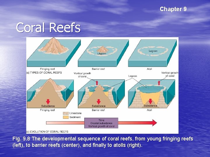 Chapter 9 Coral Reefs Fig. 9. 8 The developmental sequence of coral reefs, from