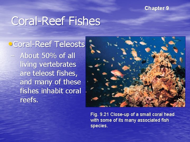 Chapter 9 Coral-Reef Fishes • Coral-Reef Teleosts – About 50% of all living vertebrates
