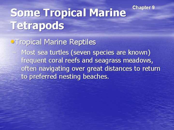 Some Tropical Marine Tetrapods Chapter 9 • Tropical Marine Reptiles – Most sea turtles