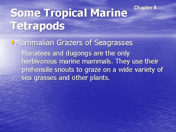 Some Tropical Marine Tetrapods Chapter 9 • Mammalian Grazers of Seagrasses – Manatees and