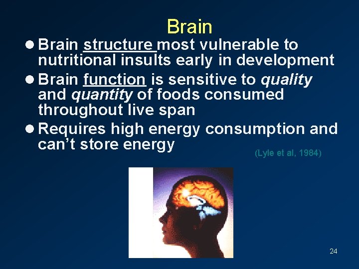 Brain l Brain structure most vulnerable to nutritional insults early in development l Brain
