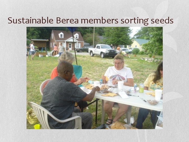 Sustainable Berea members sorting seeds 