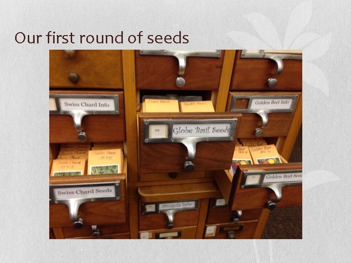 Our first round of seeds 