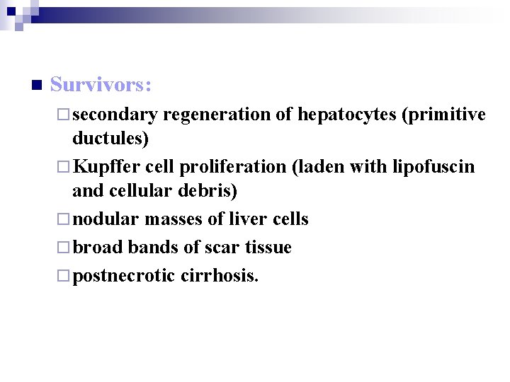 n Survivors: ¨ secondary regeneration of hepatocytes (primitive ductules) ¨ Kupffer cell proliferation (laden