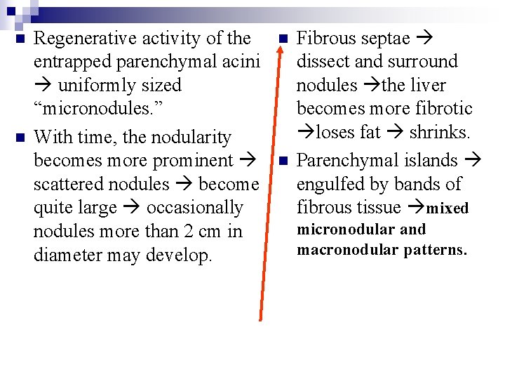 n n Regenerative activity of the entrapped parenchymal acini uniformly sized “micronodules. ” With