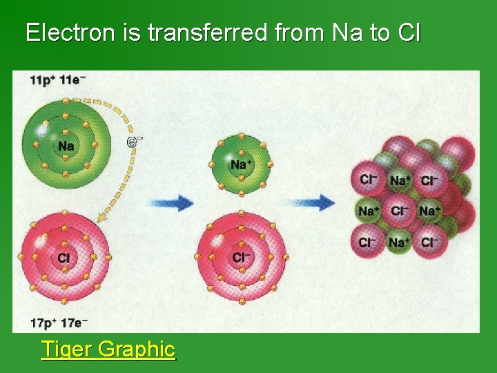 Electron is transferred from Na to Cl Tiger Graphic 