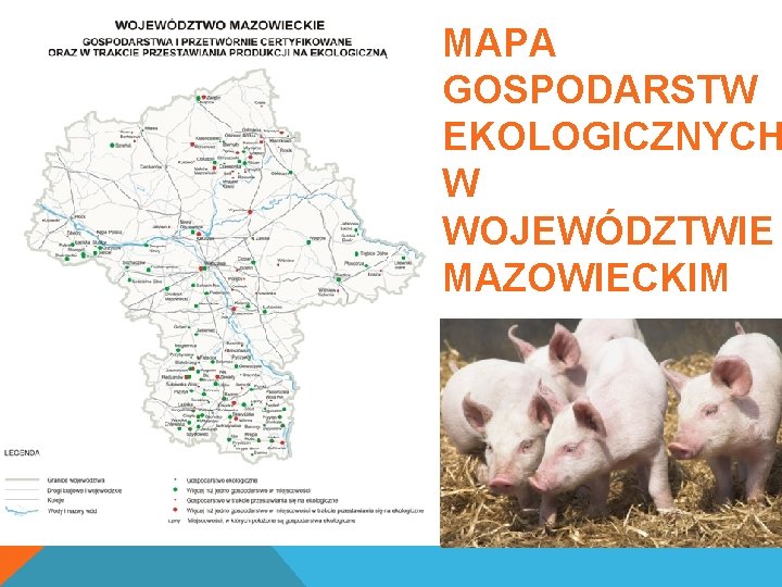 MAPA GOSPODARSTW EKOLOGICZNYCH W WOJEWÓDZTWIE MAZOWIECKIM 