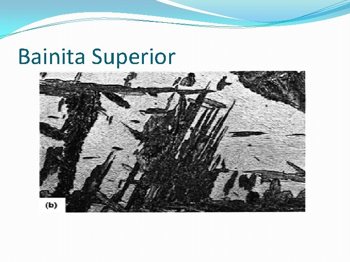 Bainita Superior 