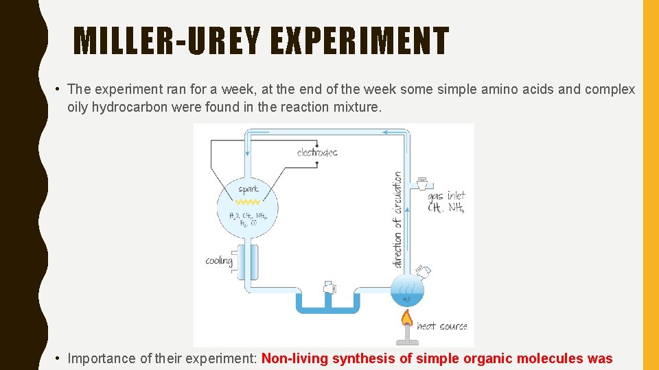 MILLER-UREY EXPERIMENT • The experiment ran for a week, at the end of the
