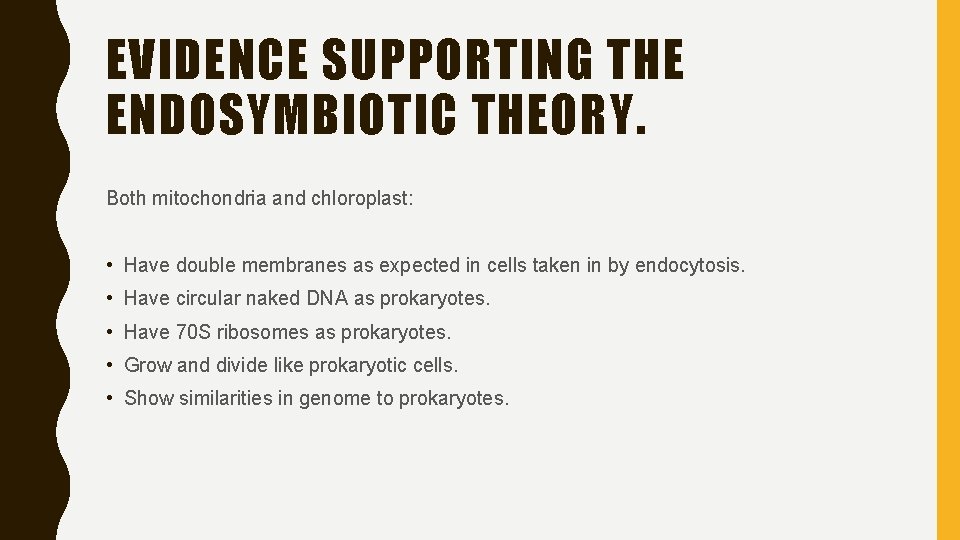 EVIDENCE SUPPORTING THE ENDOSYMBIOTIC THEORY. Both mitochondria and chloroplast: • Have double membranes as