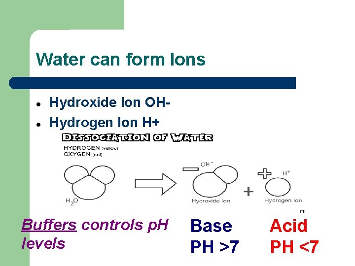 Water can form Ions Hydroxide Ion OHHydrogen Ion H+ Buffers controls p. H levels