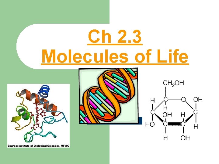 Ch 2. 3 Molecules of Life 