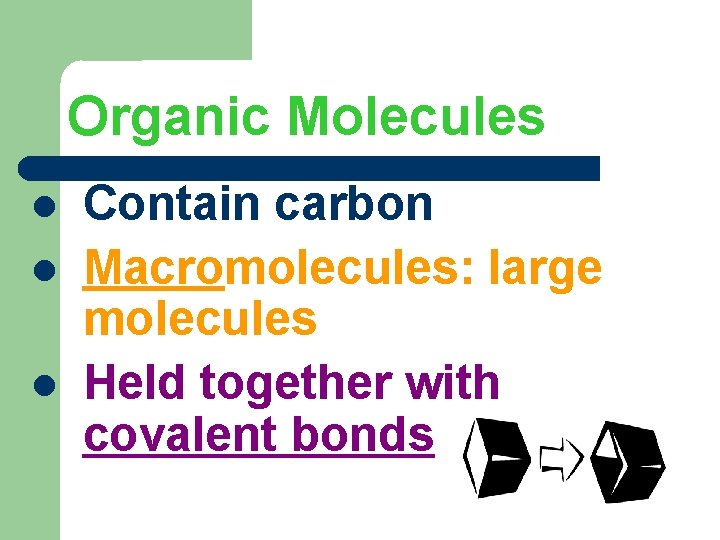 Organic Molecules Contain carbon Macromolecules: large molecules Held together with covalent bonds 