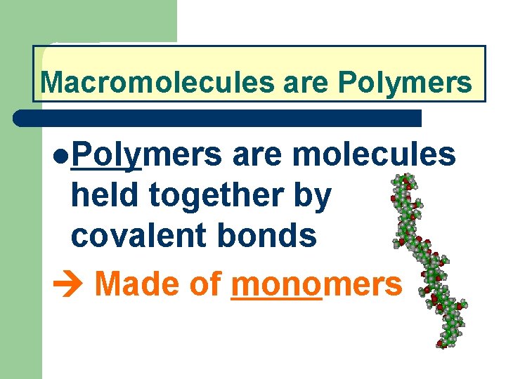 Macromolecules are Polymers are molecules held together by covalent bonds Made of monomers 