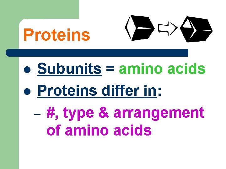 Proteins Subunits = amino acids Proteins differ in: – #, type & arrangement of
