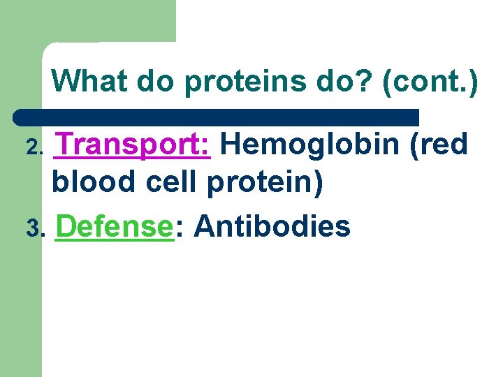 What do proteins do? (cont. ) Transport: Hemoglobin (red blood cell protein) 3. Defense: