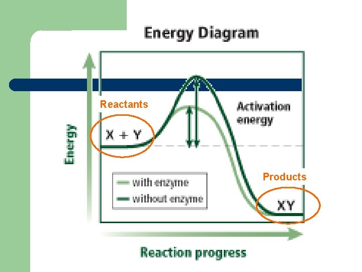 Reactants Products 
