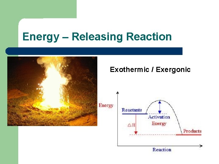 Energy – Releasing Reaction Exothermic / Exergonic 