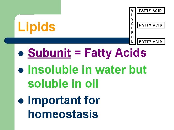 Lipids Subunit = Fatty Acids Insoluble in water but soluble in oil Important for