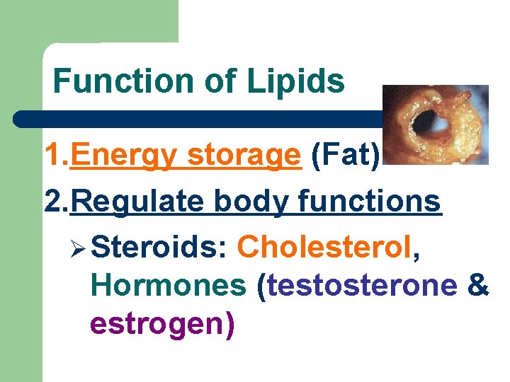 Function of Lipids 1. Energy storage (Fat) 2. Regulate body functions Steroids: Cholesterol, Hormones
