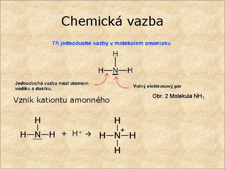 Chemická vazba Vznik kationtu amonného + H+ → Obr. 2 Molekula NH 3 