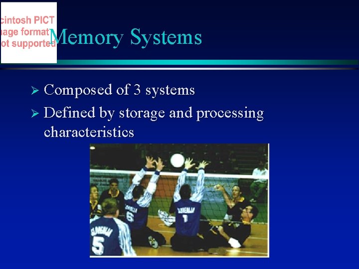 Memory Systems Ø Composed of 3 systems Ø Defined by storage and processing characteristics