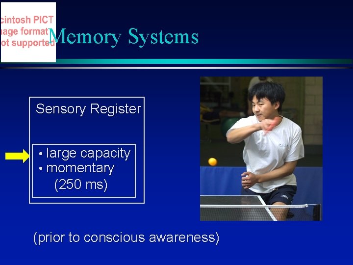 Memory Systems Sensory Register • large capacity • momentary (250 ms) (prior to conscious