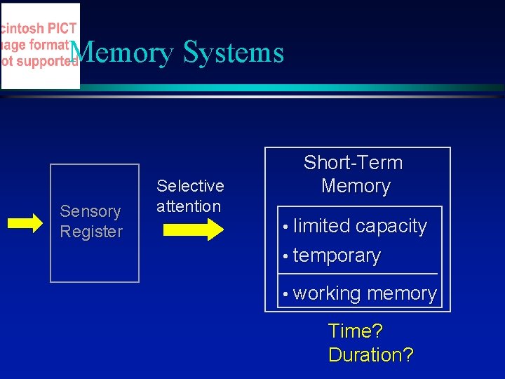 Memory Systems Sensory Register Selective attention Short-Term Memory • limited capacity • temporary •