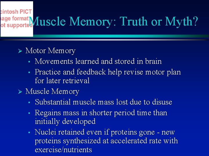 Muscle Memory: Truth or Myth? Ø Ø Motor Memory • Movements learned and stored