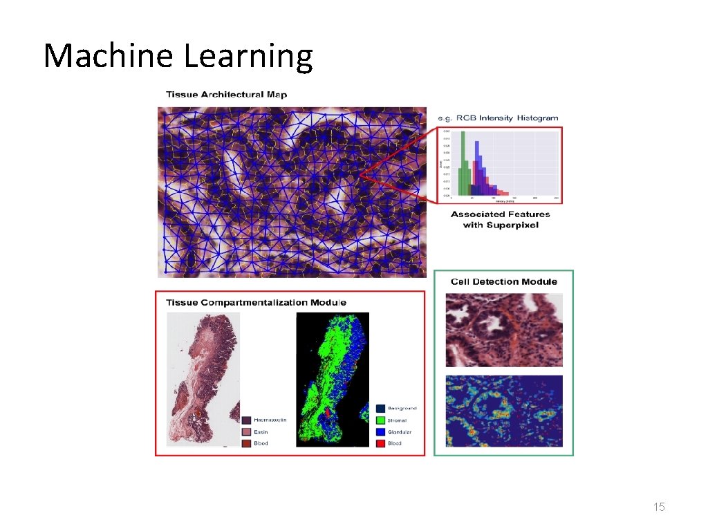 Machine Learning 15 