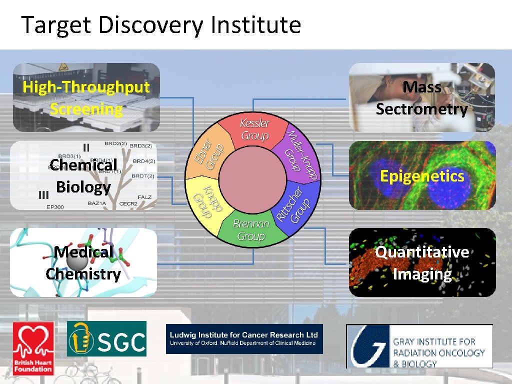 Target Discovery Institute High-Throughput Screening Mass Sectrometry Chemical Biology Epigenetics Medical Chemistry Quantitative Imaging
