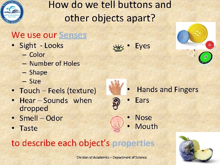 How do we tell buttons and other objects apart? We use our Senses •