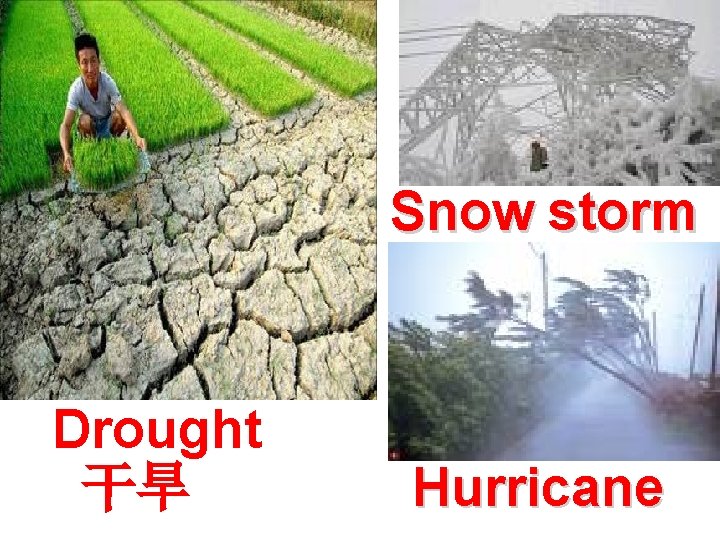 Snow storm Drought 干旱 Hurricane 