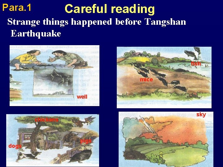 Para. 1 Careful reading Strange things happened before Tangshan Earthquake fish mice well sky