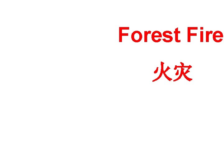 Forest Fire 火灾 