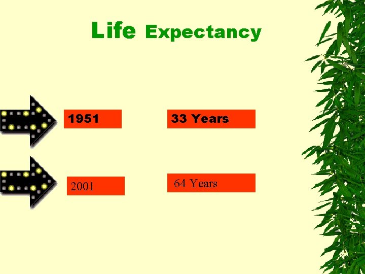 Life Expectancy 1951 33 Years 2001 64 Years 