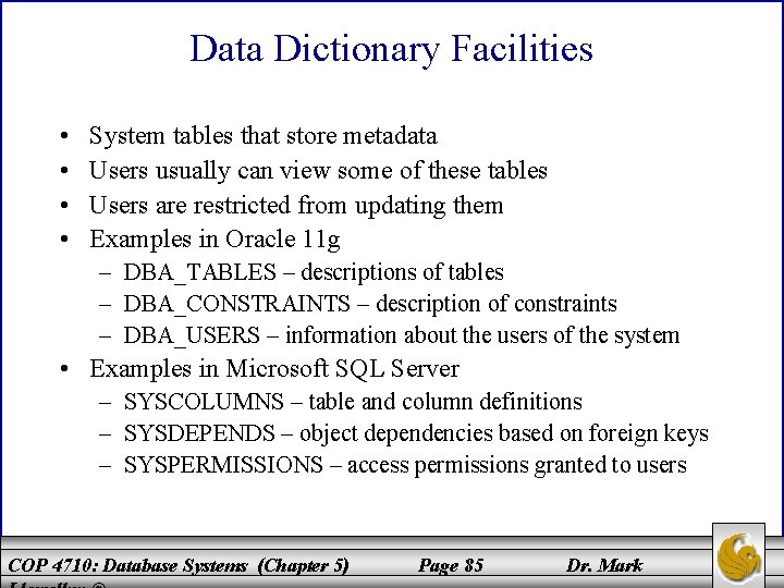 Data Dictionary Facilities • • System tables that store metadata Users usually can view