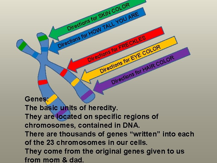 R LO O C IN E K R S A r fo U s