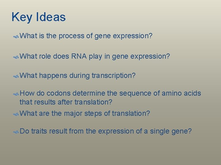 Key Ideas What is the process of gene expression? What role does RNA play